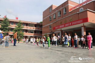 民主小学2017年春季运动会精彩纷呈