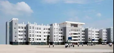 漳州各中小学往年招生政策解读 附报名材料及收费标准