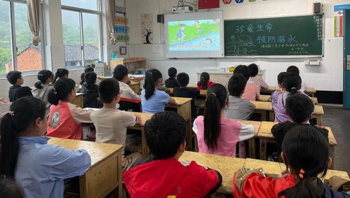 兰亭小学 每天 两分钟 安全记心间
