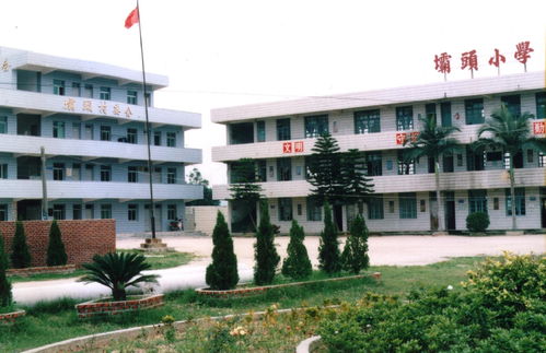 晋江市磁灶镇坝头小学