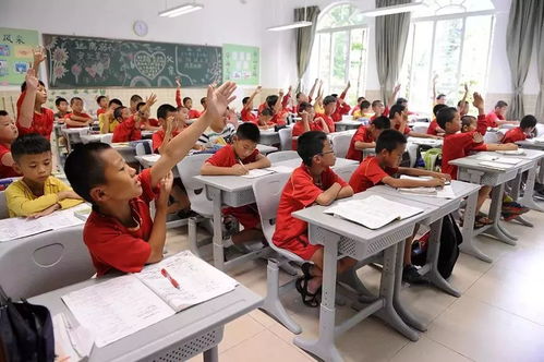 最新必存 2018全市各小学片区 对口大名单汇总 道里 群力 道外 南岗 哈西 香坊 缺松北 平房