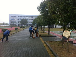 民合小学 学雷锋月 主题教育系列活动之一