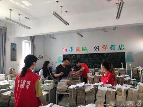 勇担当善作为,我是党员我奉献 民主路第二小学开展党员志愿者整理图书活动