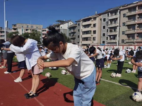 大联小学 传承圣贤精神,培育时代新人