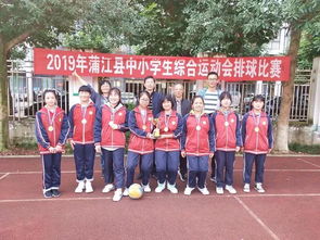 2019年蒲江县中小学生综合运动会排球比赛圆满结束