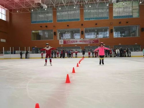 省体工二大队全民健身中心新增范家湾小学滑冰培训班
