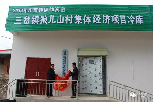 漳县三岔镇顺禄农产品农民专业合作进行揭牌暨狼儿山村集体经济项目冷库启用仪式