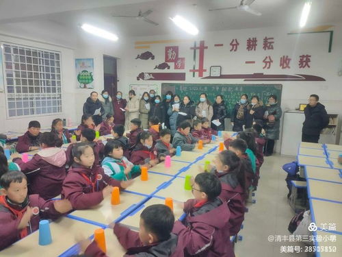 落实 双减 政策 助力健康成长 清丰县第三实验小学学生综合素养展示