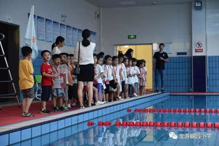 党旗飘扬 龙游樾园小学 潜心育人 携手追梦